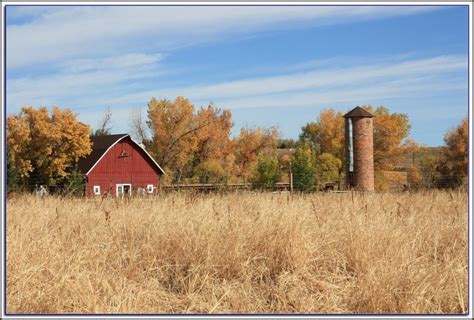 mid mi craigslist|michigan craigslist farm and garden.